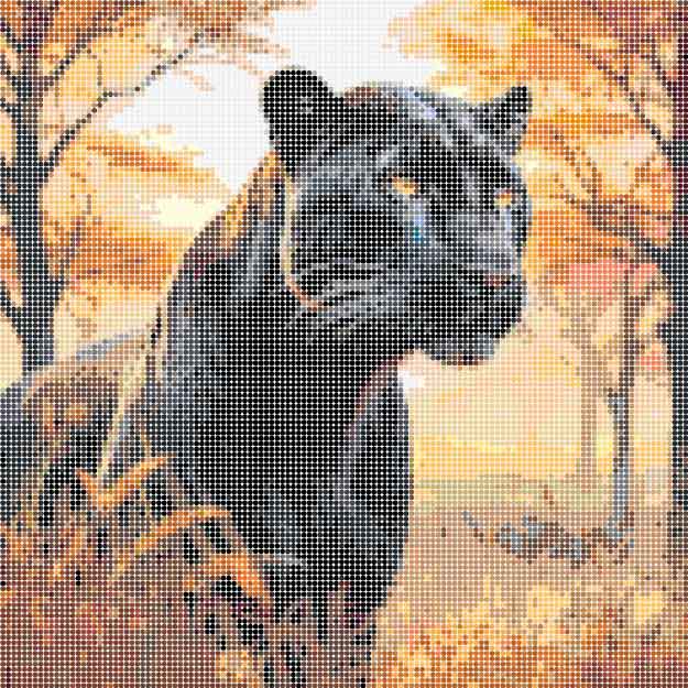 pantera beads aclopix