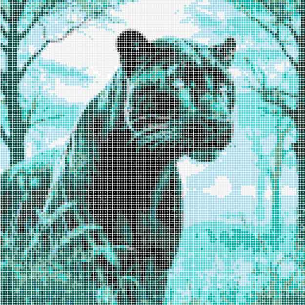 pantera coloreada aclopix